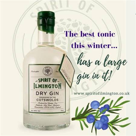 Five good reasons to drink gin this January